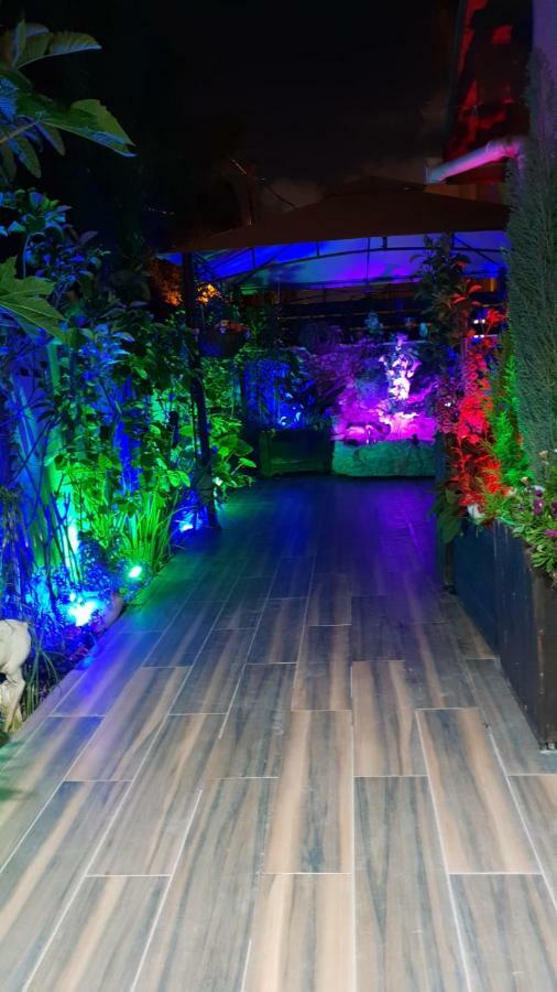 Amazing Appartement Haifa Buitenkant foto